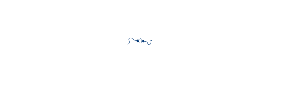 rEUconnecting