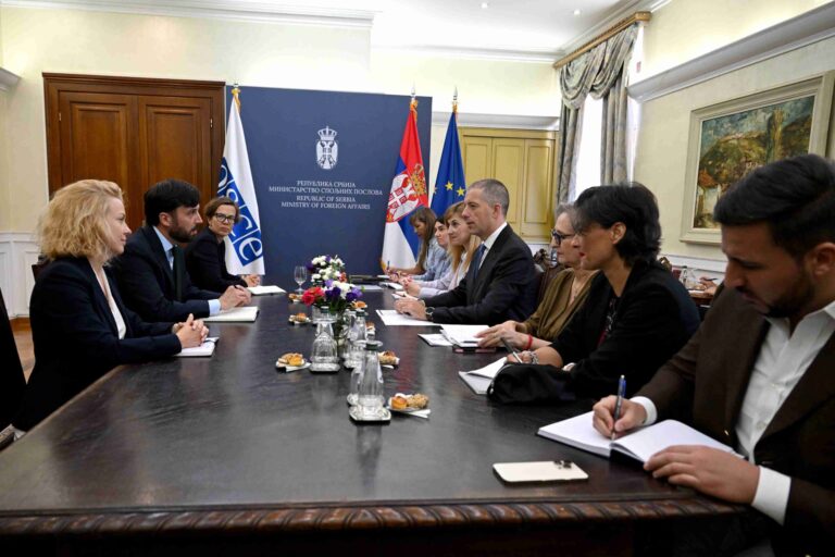Đurić sa šefom posmatračke misije ODIHR-a Eoganom Merfijem o izbornom procesu