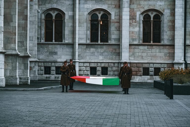 Peteru Mađaru ukinut imunitet, sumnja se da je oduzeo mobilni jednom građaninu i bacio u Dunav